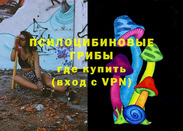 твердый Алексин