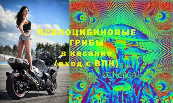 твердый Алексин