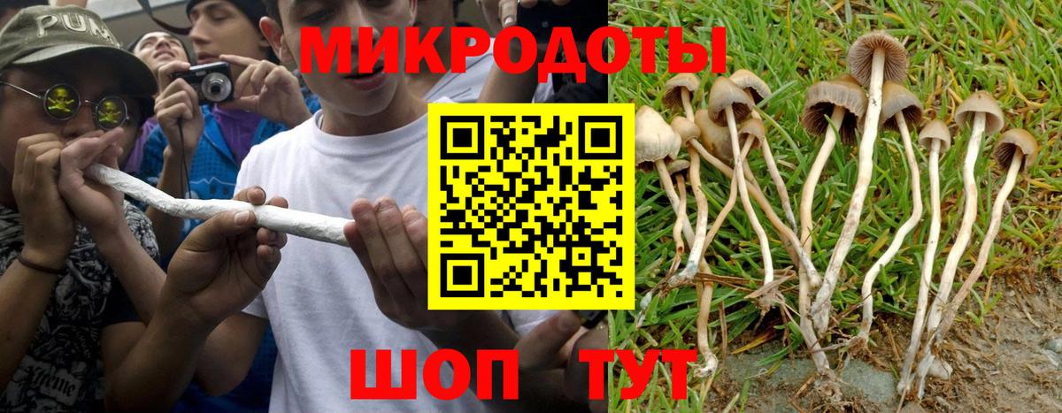 Галлюциногенные грибы мухоморы Лесной