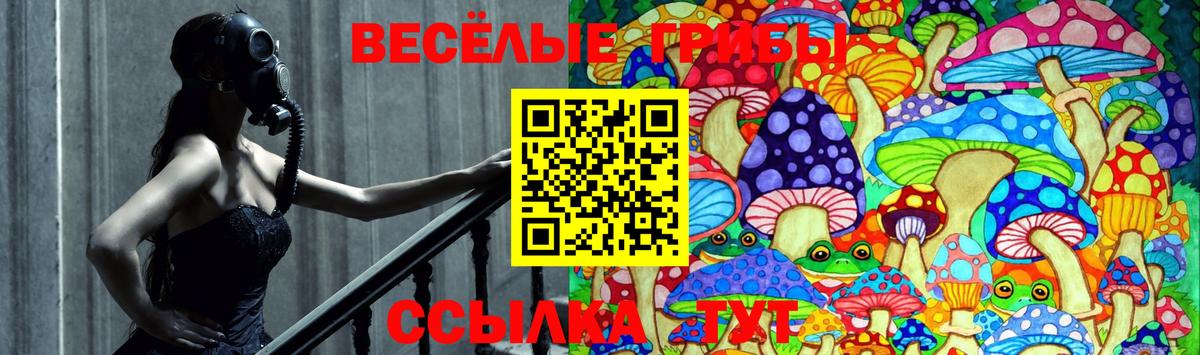 Галлюциногенные грибы GOLDEN TEACHER  Вход с VPN  где найти   Лесной 